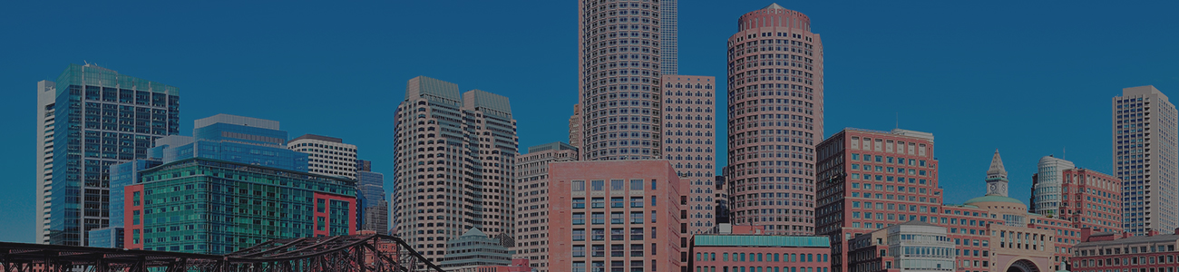 Main Image Banner