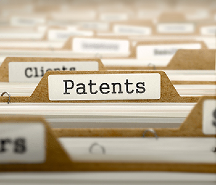 Patent Litigation